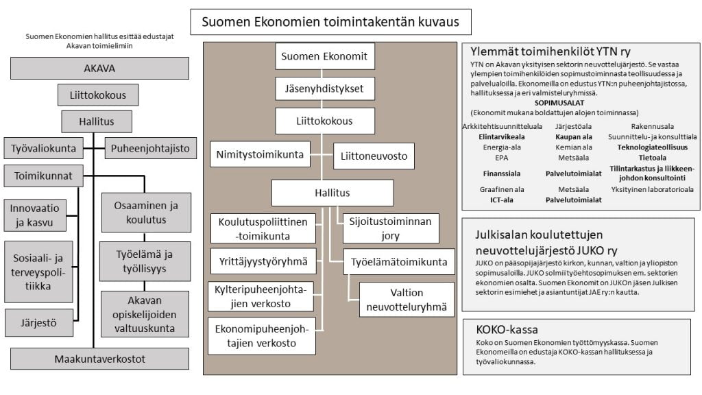 Suomen Ekonomien toimintakentän kuvaus